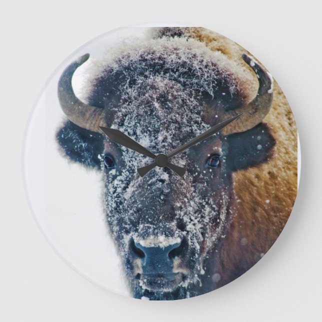 Snowy Buffalo Wall Clock (Front)