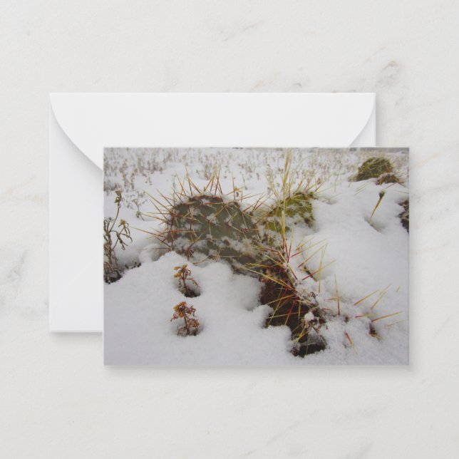 snowy cactus holiday card (Front)