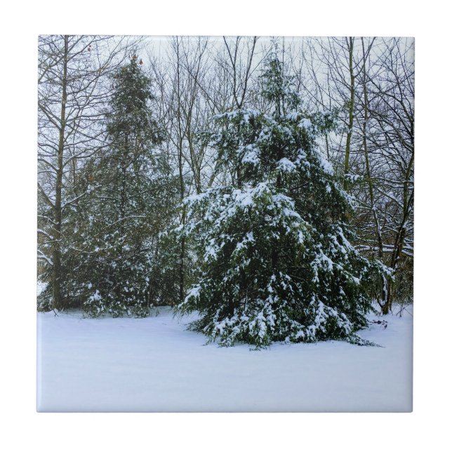 Snowy Cedars Ceramic Tile (Front)