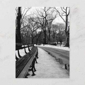 Snowy Central Park Postcard