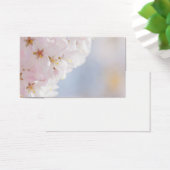 Snowy Cherry Blossoms (Desk)