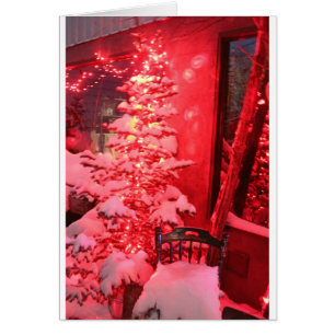 Snowy Christmas Tree Lights Cards