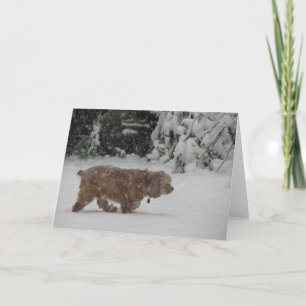 Snowy Cocker Spaniel Holiday Card