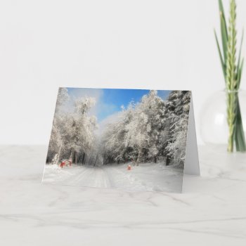 Snowy Country Road Christmas Card by LoisBryan at Zazzle