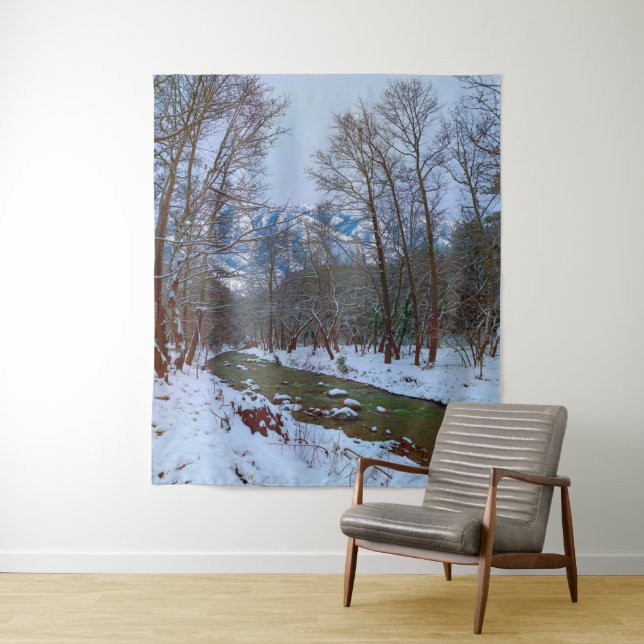 Snowy Creek Forest Mountain Winter Scene Backdrop (In Situ)