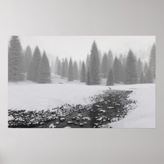 Snowy Creek Poster
