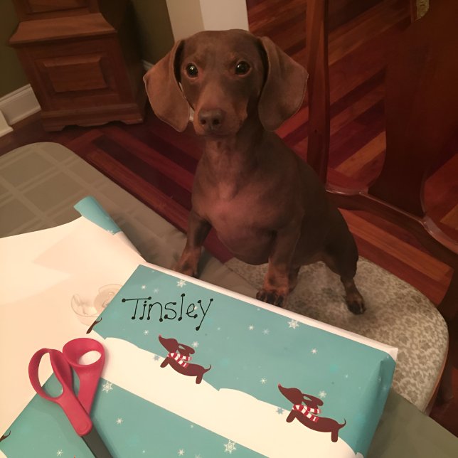 Snowy Dachshund Scarf Gift Wrap Wrapping paper (Dachshund through the snow gift wrap or wiener wonderland wrapping paper!)
