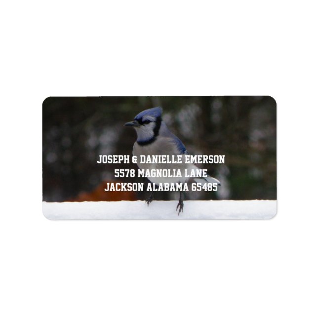 Snowy Day Blue Jay Address Labels (Front)