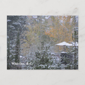 Snowy Day in Whistler B.C. Postcard