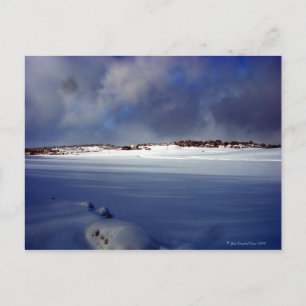 Snowy Day Postcard
