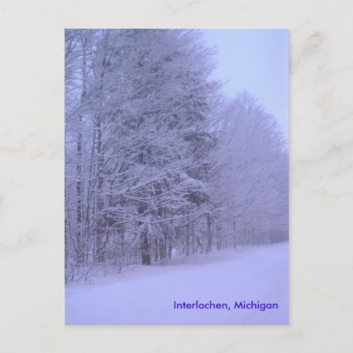 snowy dayz Interlochen Michigan Postcard