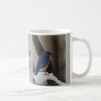 Snowy Eastern Bluebird Mug by Considernature at Zazzle