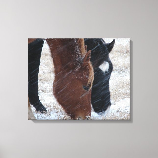 Snowy Eats Canvas Print (Front)