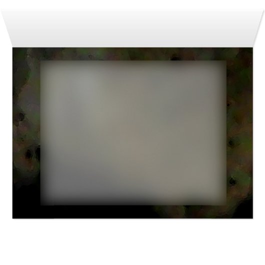 Snowy Egret (Inside Horizontal (Bottom))