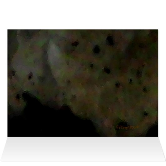 Snowy Egret (Inside Horizontal (Top))