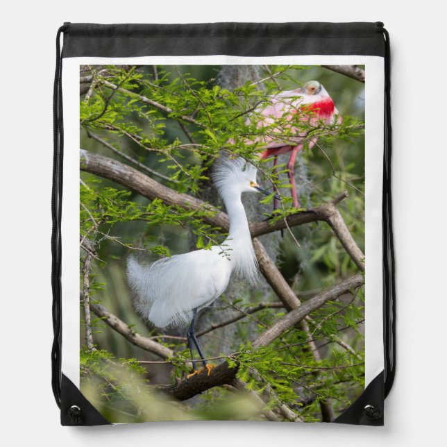 Snowy Egret and Roseate Spoonbill Backpack (Front)