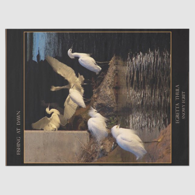 Snowy Egret Birds Wetlands Dawn Tissue Paper (Front)