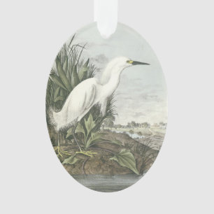 Snowy Egret by Audubon Ornament