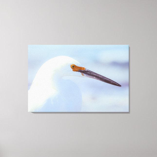 Snowy Egret Canvas Print (Front)