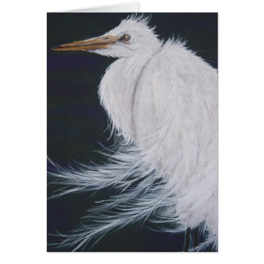 Snowy Egret Cards (Front)