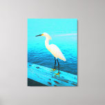 Snowy Egret in Blue Canvas Print