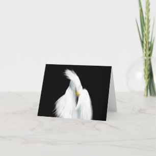 Snowy Egret on Black Thank You Card