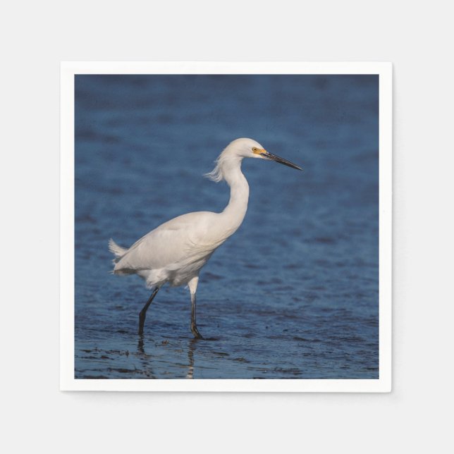 Snowy Egret on North Beach Paper Napkins (Front)