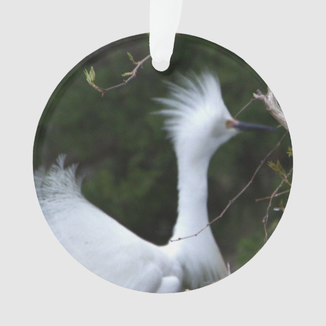 Snowy Egret Ornament (Front)