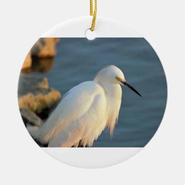 Snowy Egret Photo Ceramic Ornament (Front)