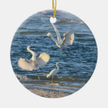 Snowy Egrets Dancing (Can be Personalized)
