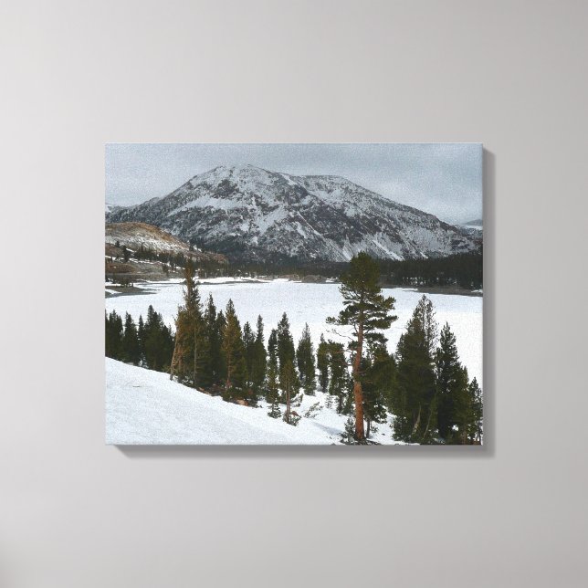 Snowy Ellery Lake California Winter Landscape Canvas Print (Front)