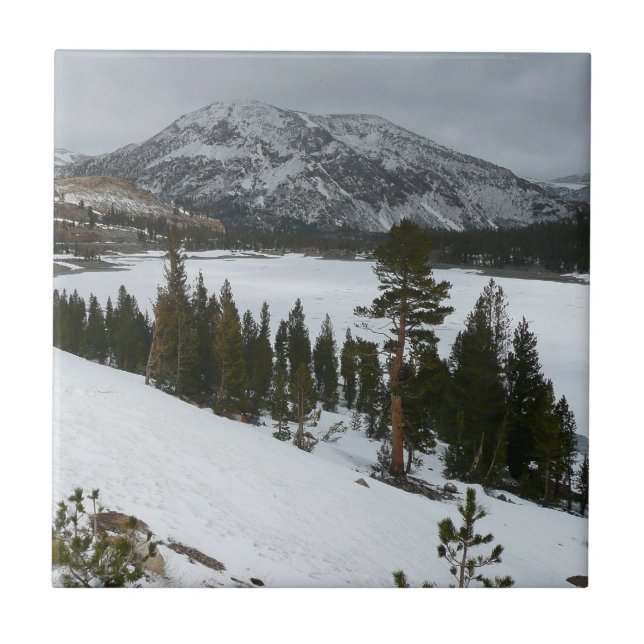 Snowy Ellery Lake California Winter Landscape Ceramic Tile (Front)