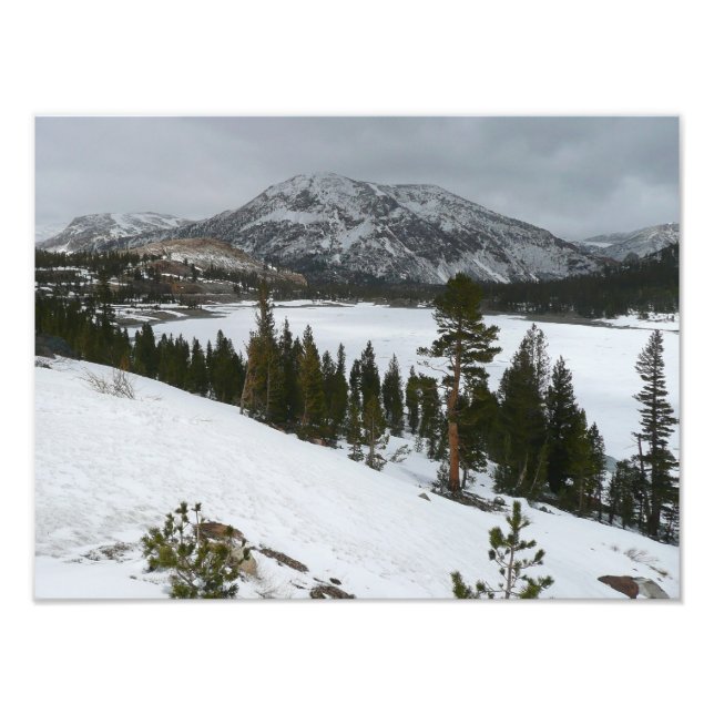 Snowy Ellery Lake California Winter Landscape Photo Print (Front)