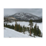 Snowy Ellery Lake California Winter Landscape Postcard