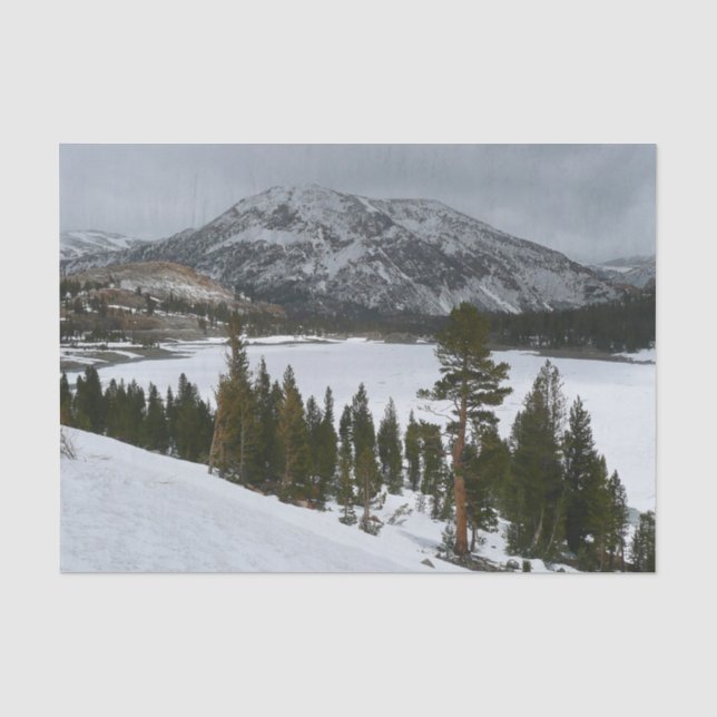 Snowy Ellery Lake California Winter Landscape Tissue Paper (Front)