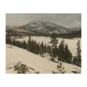 Snowy Ellery Lake California Winter Landscape Wood Wall Decor