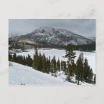 Snowy Ellery Lake California Winter Photography Postcard