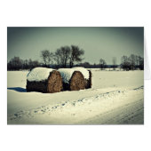 Snowy field (Front Horizontal)