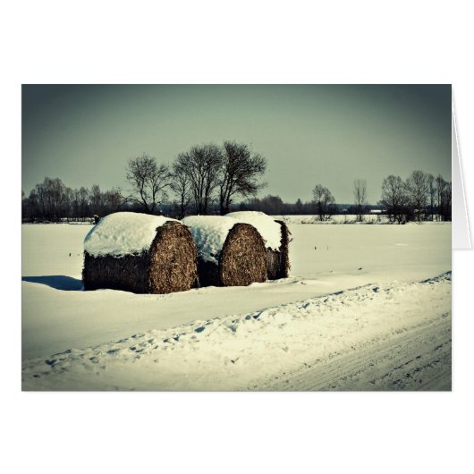 Snowy field cards (Front Horizontal)