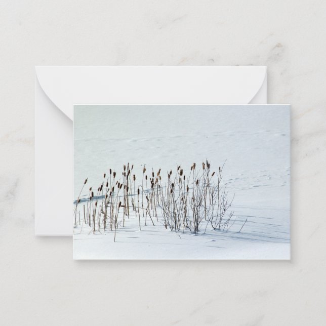 Snowy Field - Note Cards (Front)
