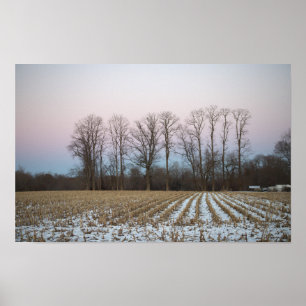 Snowy Field Photo Poster