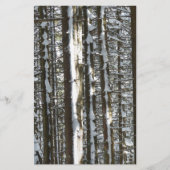 Snowy Fir Tree (Front)