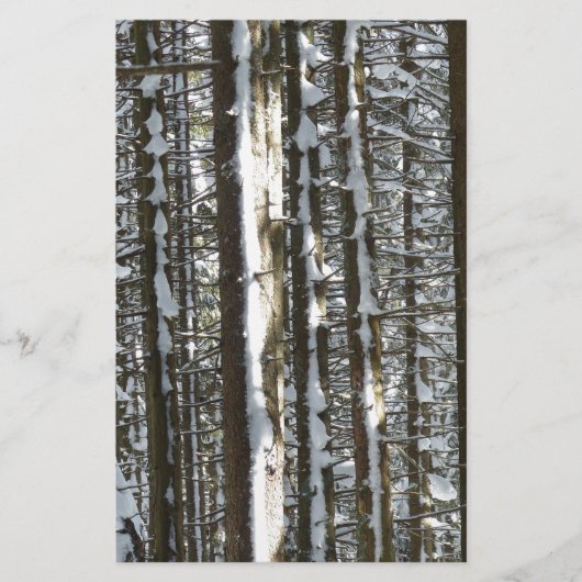 Snowy Fir Tree (Front)