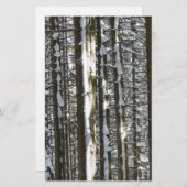 Snowy Fir Tree (Front/Back)