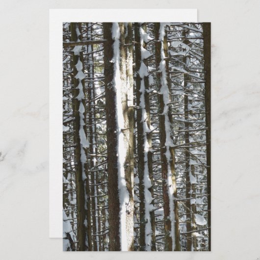 Snowy Fir Tree (Front/Back)