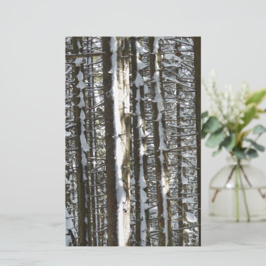 Snowy Fir Tree (Standing Front)