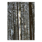 Snowy Fir Tree (Front)