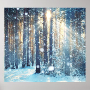 Snowy Forest Frosty Winter Scene Poster