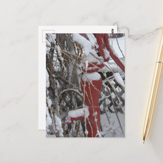 Snowy garden scene postcard (Front/Back In Situ)