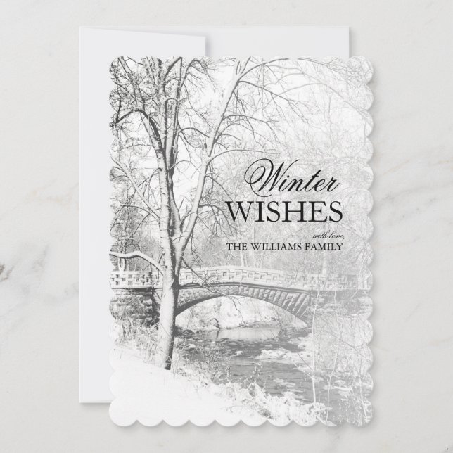 Snowy Garfield Park in Black and White (Front)